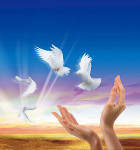 mk官方网站_mk(中国)食品